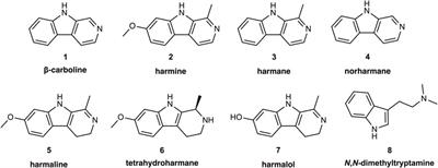 Monoamine Oxidase Inhibition by Plant-Derived β-Carbolines; Implications for the Psychopharmacology of Tobacco and Ayahuasca